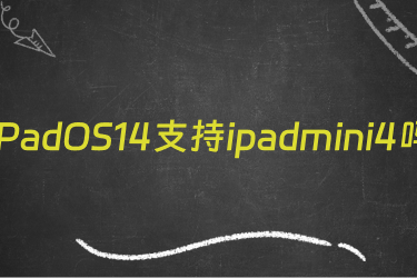 iPadOS14支持ipadmini4吗