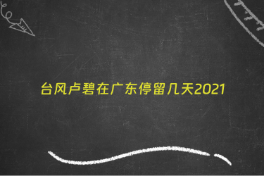 台风卢碧在广东停留几天2021