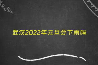 武汉2022年元旦会下雨吗