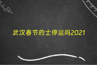 武汉春节的士停运吗2021