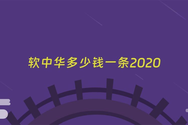 软中华多少钱一条2020